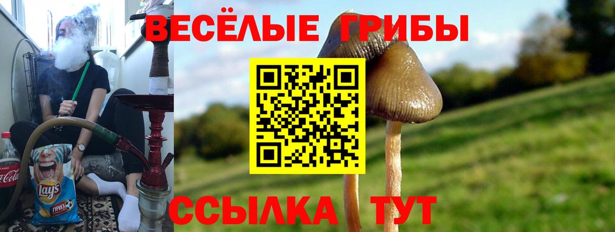 Галлюциногенные грибы MAGIC MUSHROOMS  продажа наркотиков  Череповец  Вход с VPN  Галлюциногенные грибы ЛСД 