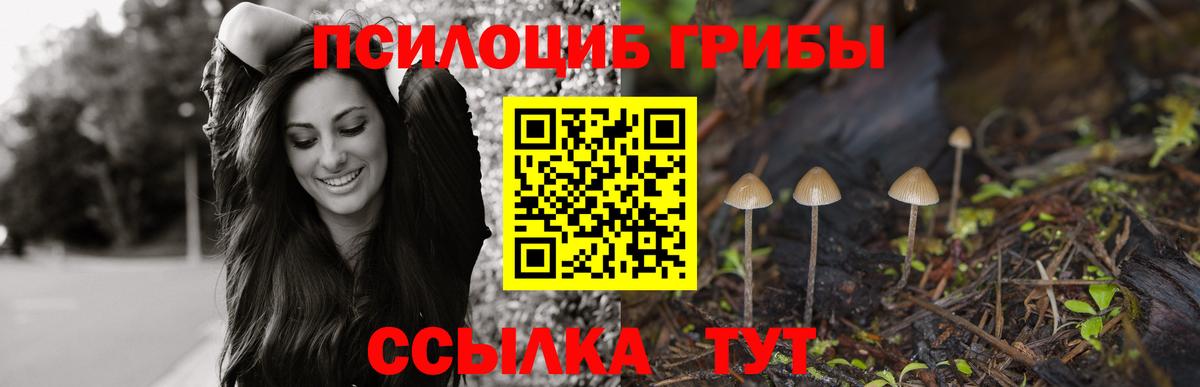 Псилоцибиновые грибы Magic Shrooms Череповец